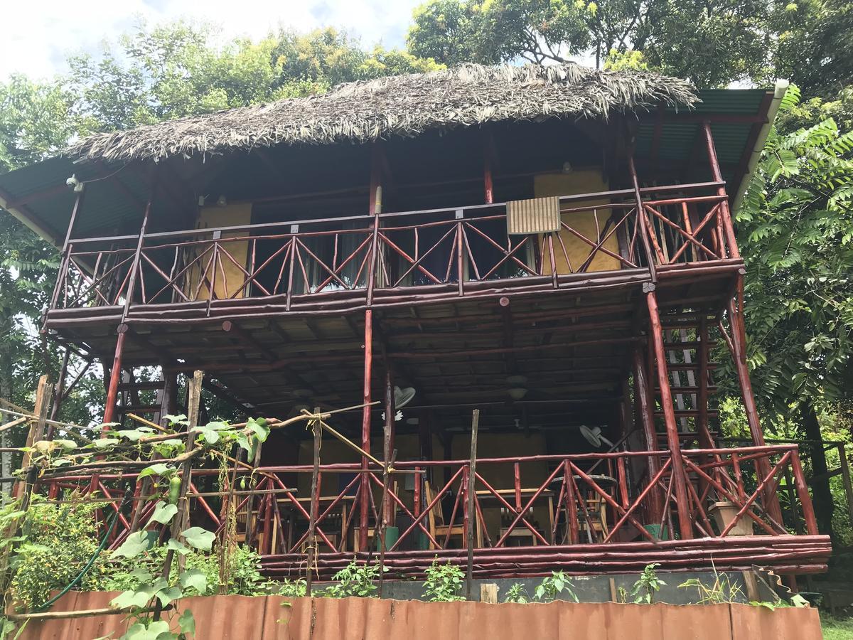 Hotel Free Spirit Oasis Bocas del Toro Zewnętrze zdjęcie